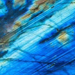 Meet your Posher, Connor